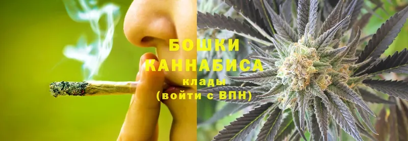 Шишки марихуана Bruce Banner  купить  сайты  Курлово 